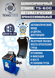 Комплект TS24AC+HR360 Станок шиномонтажный автомат+TS-600 Балансировочный стенд для легковых авто
