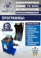Комплект TS24AC+HR360 Станок шиномонтажный автомат+TS-600 Балансировочный стенд для легковых авто